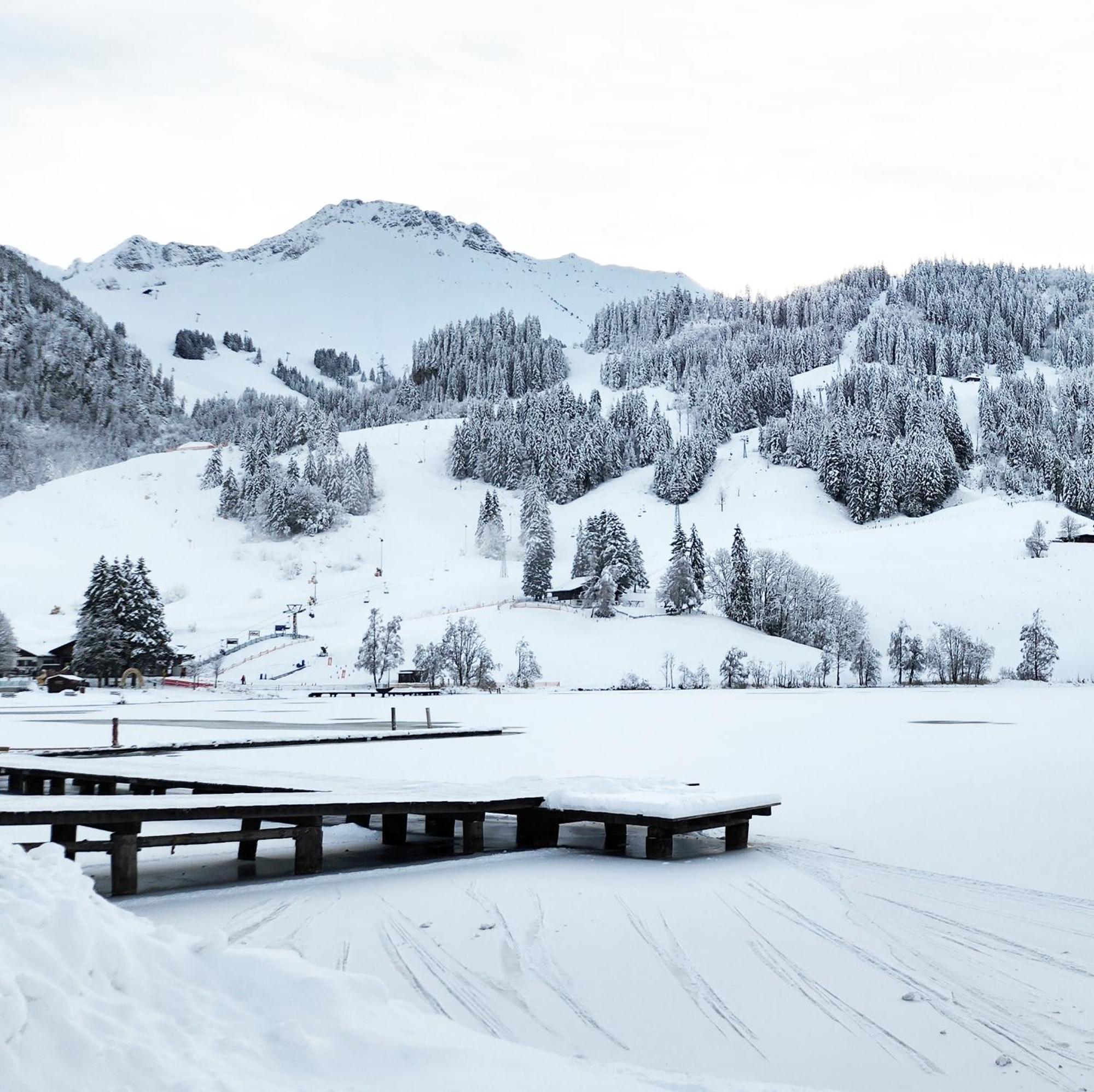 Pension Fein & Sein Bad-Schwarzsee Dış mekan fotoğraf