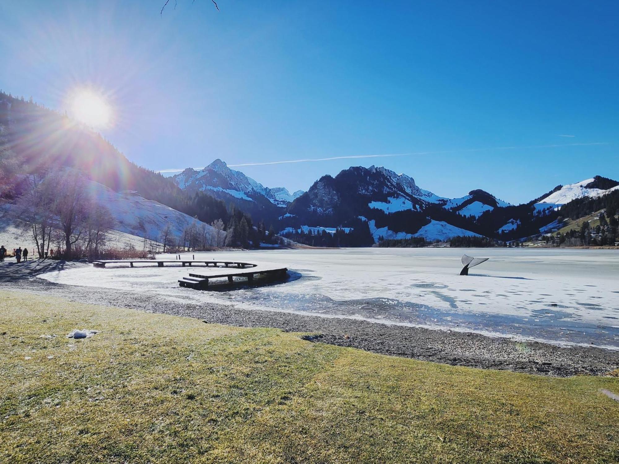 Pension Fein & Sein Bad-Schwarzsee Dış mekan fotoğraf